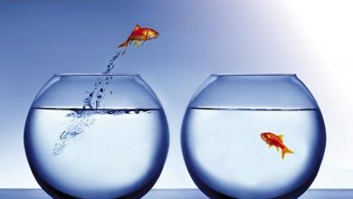 انگيزه ي شغلي